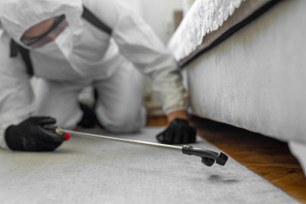 Professional Bed Bug Control technician working in Upper Saddle River, NJ