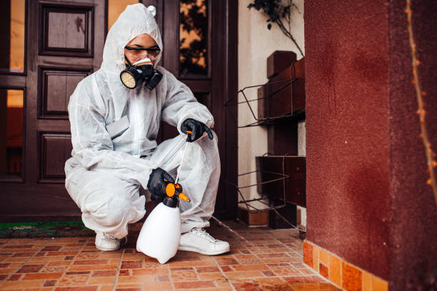 Reliable Bed Bug Control contractor in Upper Saddle River, NJ by Nex Pest Control