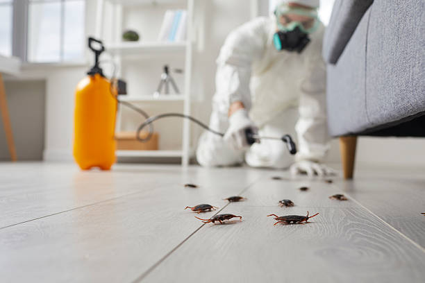 Trusted Termite Control service in Upper Saddle River, NJ - Nex Pest Control