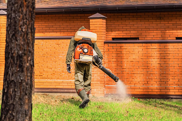 Trusted Bed Bug Control service in Upper Saddle River, NJ - Nex Pest Control